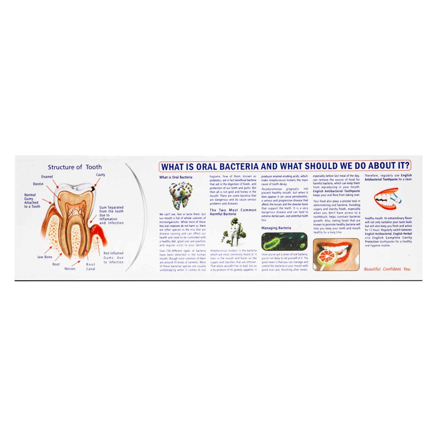 English Herbal Toothpaste Value Pack (135g)