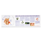 English Herbal Toothpaste Value Pack (135g)