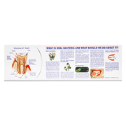 English Herbal Toothpaste Value Pack (135g)