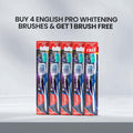 Buy 4 English Pro Whitening Brushes Get 1 Brush Free